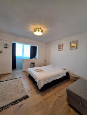 DOM STUDIO Suceava
